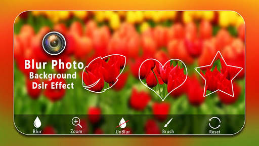 Blur Photo Background dslr Camera Effect screenshot 3