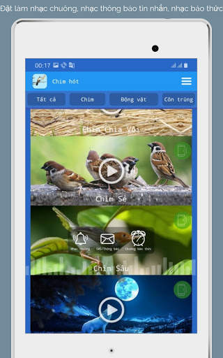 Tiếng Chim Hót screenshot 7