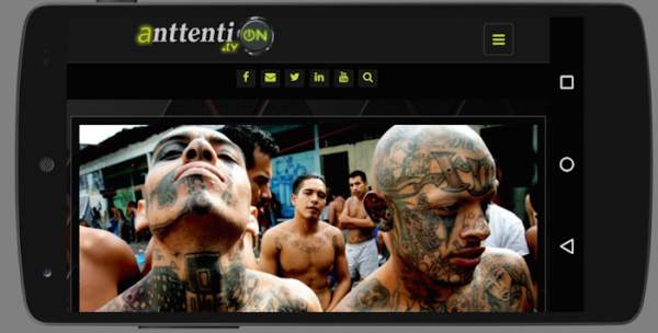 AnttentionTV screenshot 2