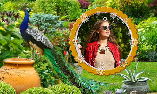 Peacock Photo Frames HD screenshot 10