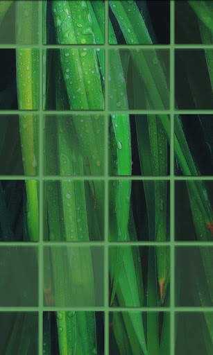 Photile Live Wallpaper screenshot 1