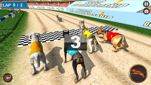 Real Dog Racing Tournament screenshot 13