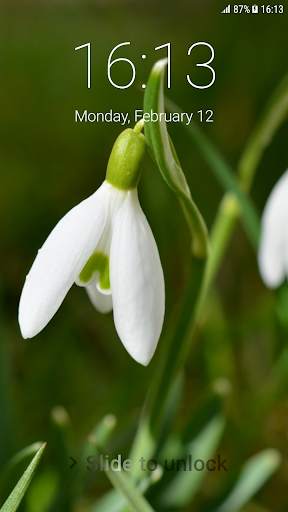 Spring Flowers Pattern Lock Screen 1 تصوير الشاشة