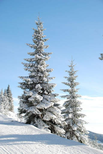 Winter Wallpapers | hd backgrounds screenshot 6