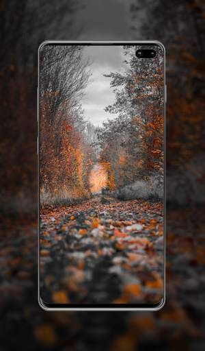 Hd Wallpaper & Background screenshot 3