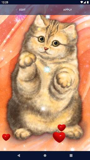Cute Fluffy Cat Live Wallpaper screenshot 4