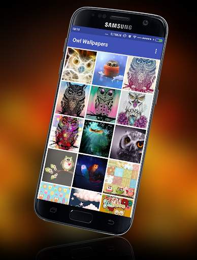 Owl Wallpaper screenshot 5