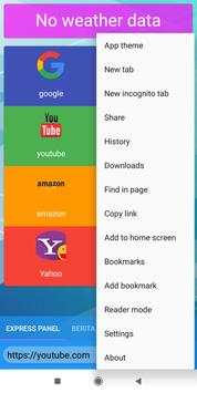 Web Browser screenshot 7