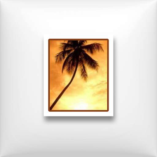 3D Gallery 3 Manager 1.04