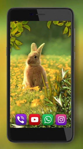 Forest Animals Live Wallpaper screenshot 5