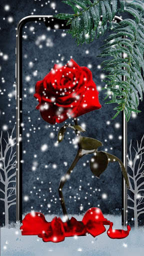 Red Rose Heart APUS Live Wallpaper screenshot 1