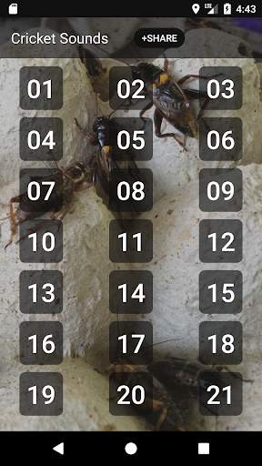 Cricket Sounds screenshot 1