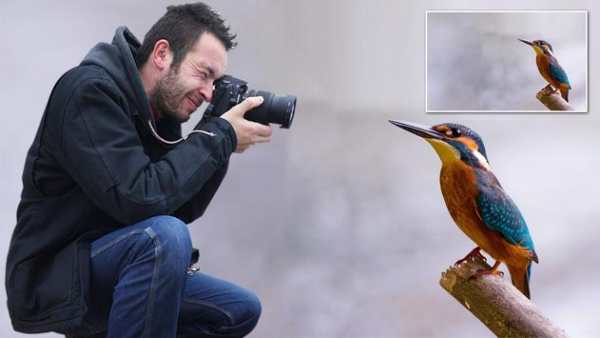 Auto Photo Background Changer screenshot 1