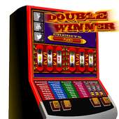 slots - Double Winner 1.0.2