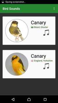 Bird Sounds screenshot 6