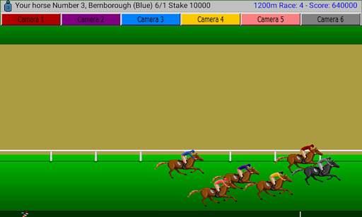 Flat Race Horse Racing screenshot 5