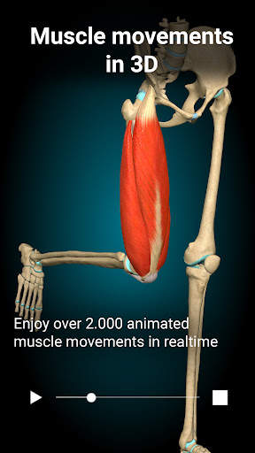 Anatomy Learning - 3D Atlas screenshot 2