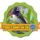 Canto Papa Capim Tui Tui Puro on 9Apps