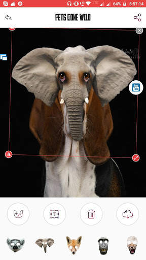 Get Funny Face - Photo Editing App screenshot 5