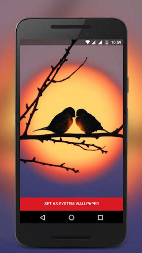 Owl Live Lock Screen screenshot 7