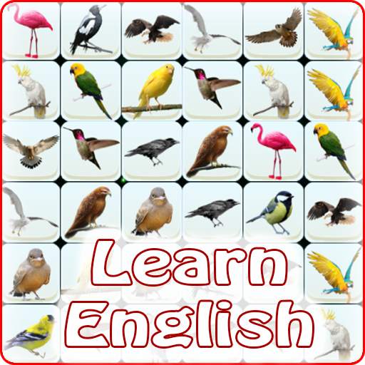 Onet Bird: Learn English 2.0