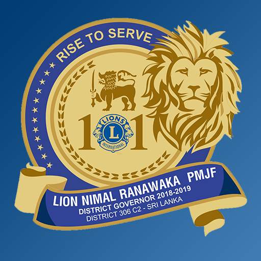 Lions 306 C2 скриншот 4