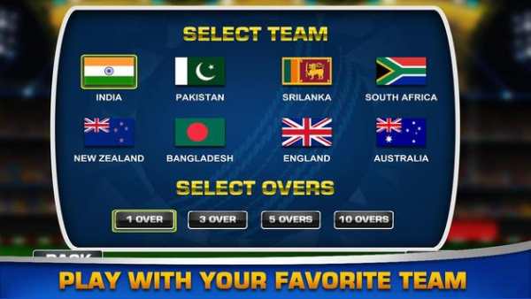 Bash Cricket Champions 2017 screenshot 3