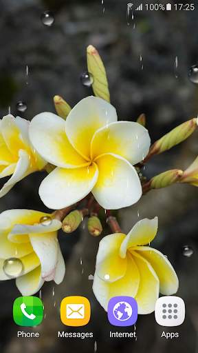 Tropical Flower Live Wallpaper screenshot 6