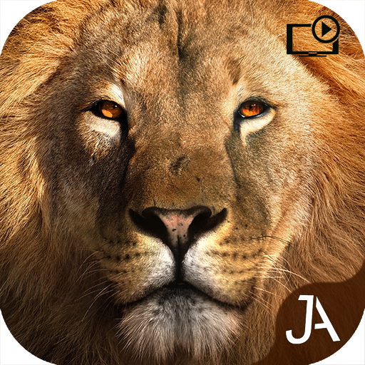 Safari: Online Evolution icon