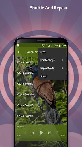 Coucal Sounds screenshot 4