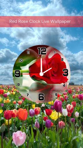 Red Rose Clock Live Wallpaper screenshot 4
