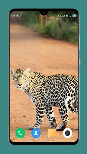 Wild Animal Wallpaper 4K 12 تصوير الشاشة