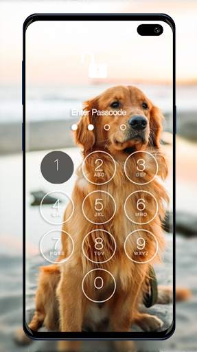 Golden Retriever Wallpapers & Lock Screen screenshot 1
