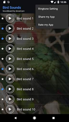 Bird sounds ~ Sboard.pro screenshot 5