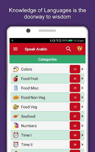 Speak Arabic : Learn Arabic Language Offline screenshot 9