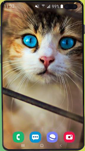 Cute Cat Wallpaper Best HD скриншот 13