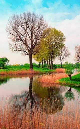 HD Nature Live Wallpaper screenshot 1