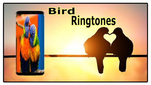 Bird Sounds Ringtones Free screenshot 7