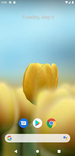 3D Tulip Live Wallpaper screenshot 4