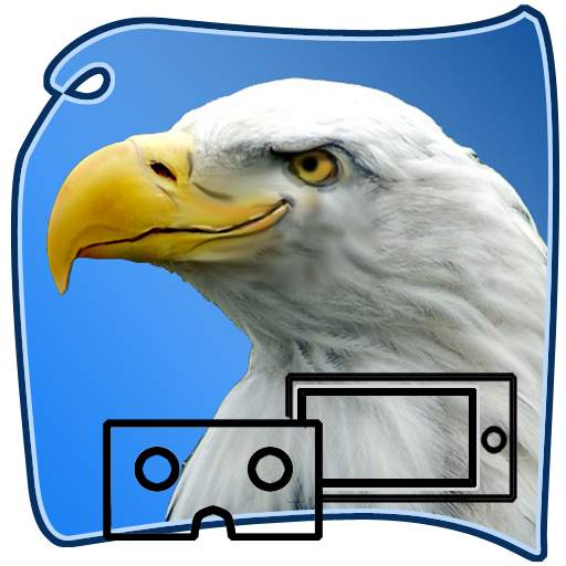 eagle SURVIVAL vr SIM 111159999711597997931