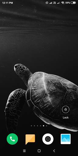 Turtle HD Wallpaper screenshot 10