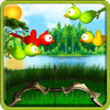 Bird Archery icon