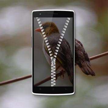 Bird Zipper Lock Screen screenshot 3