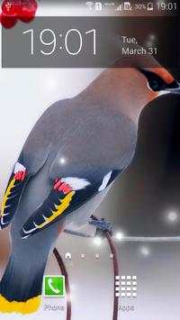 Spring Birds screenshot 8
