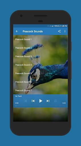 Peacock Sounds screenshot 2