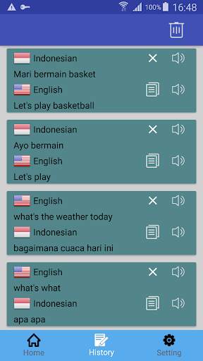 English IndonesianTranslator screenshot 2