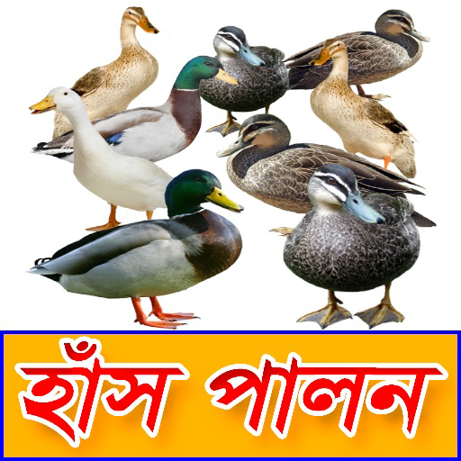 হাঁস পালন সঠিক পদ্ধতি - Duck Farming icon