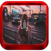 Lily - Alan Walker on 9Apps