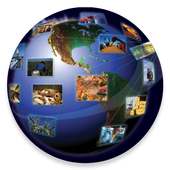 MCX NCDEX Live Market Watch