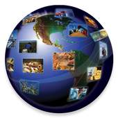 MCX NCDEX Live Market Watch 1.2